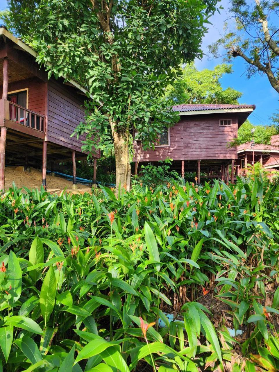 Sweet Jungle Bungalows Kaoh Touch Exteriér fotografie