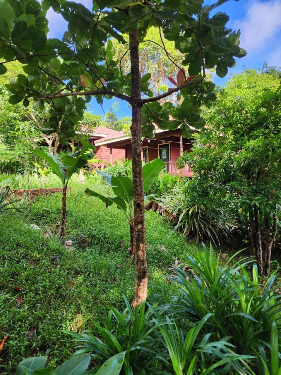 Sweet Jungle Bungalows Kaoh Touch Exteriér fotografie